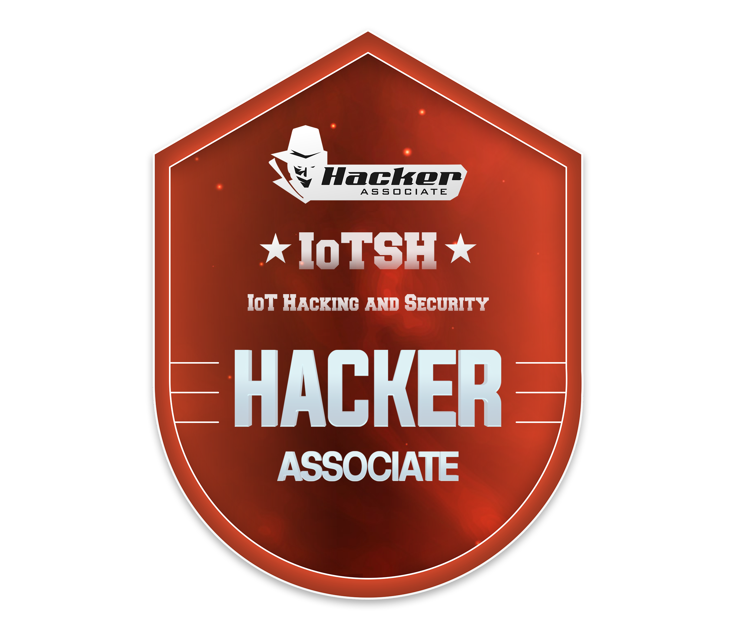 IoTHS Offensive Badge