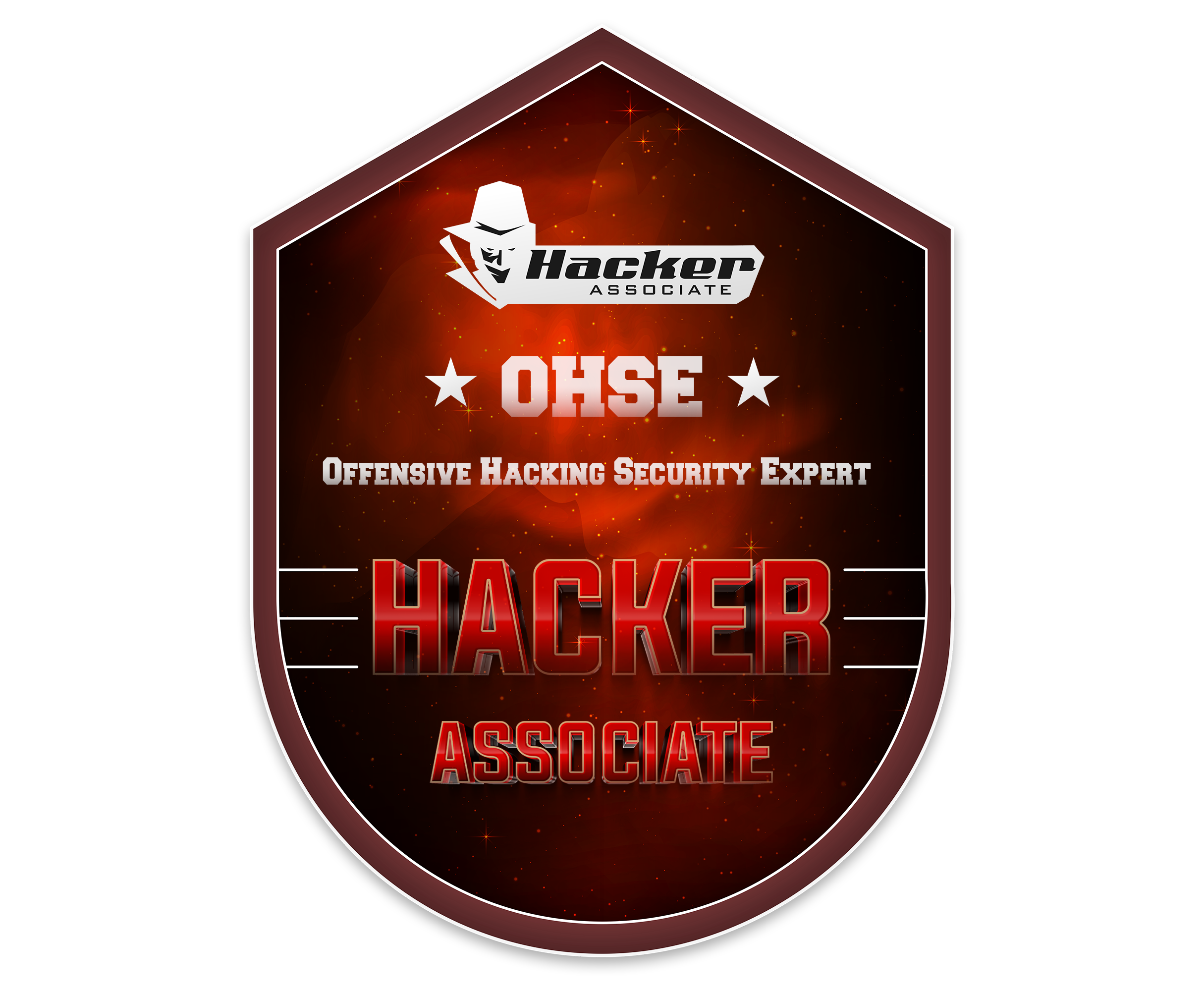 OHSE Offensive Hacking Badge